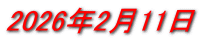 2026年2月11日